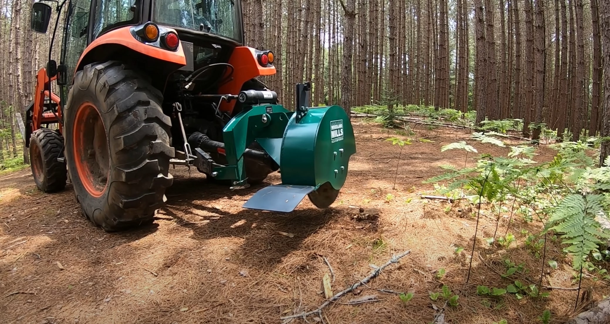 Stump Grinding & Removal service in Wildomar, CA